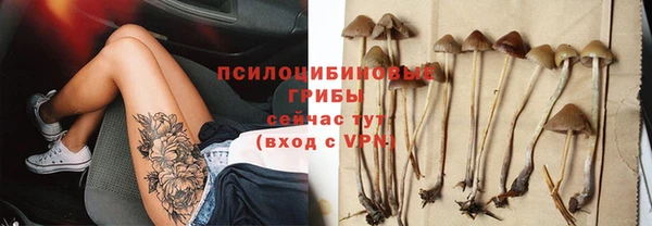тгк Алексеевка