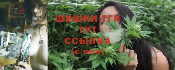 тгк Алексеевка