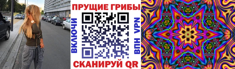 даркнет сайт  гидра   Псилоцибиновые грибы мицелий  Когалым 